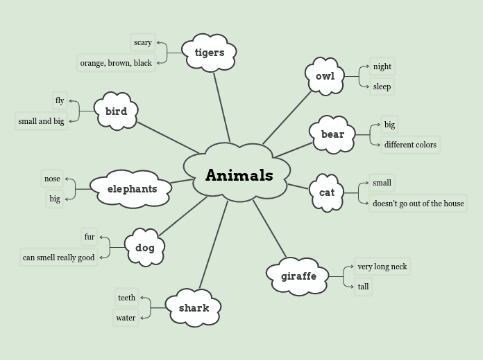 Animals Mind Map